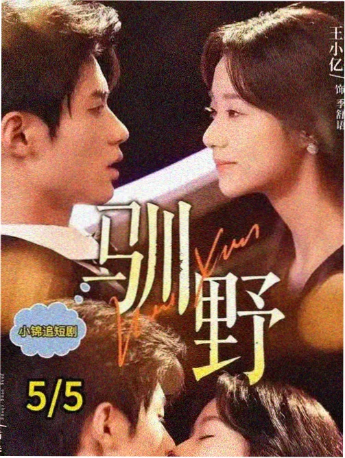 寻常岁月诗 年代家庭剧全集在线观看